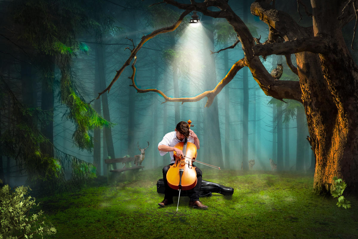 Montage Of Man Playing Cello In The Forest